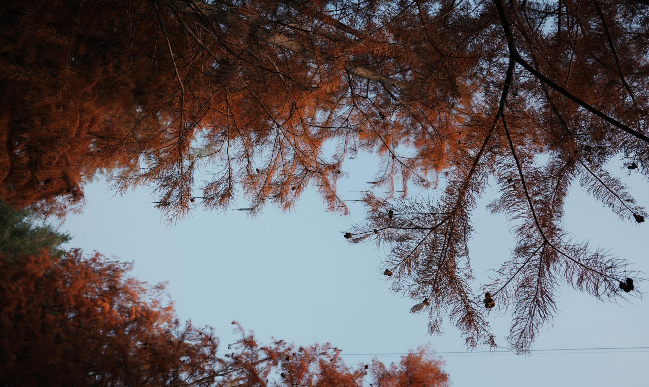 阿咩 – 《冬季人像拍摄》[14P]